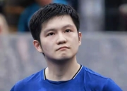 开云体育平台APP-包含德国队逆转波兰队，樊振东惊艳四座的词条