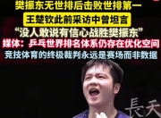 开云体育入口-包含中国队轻取德国队，樊振东点燃赛场的词条