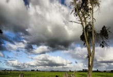 开云官网-红牛二队完胜阿斯顿马丁，皮亚斯特里统治全场的简单介绍