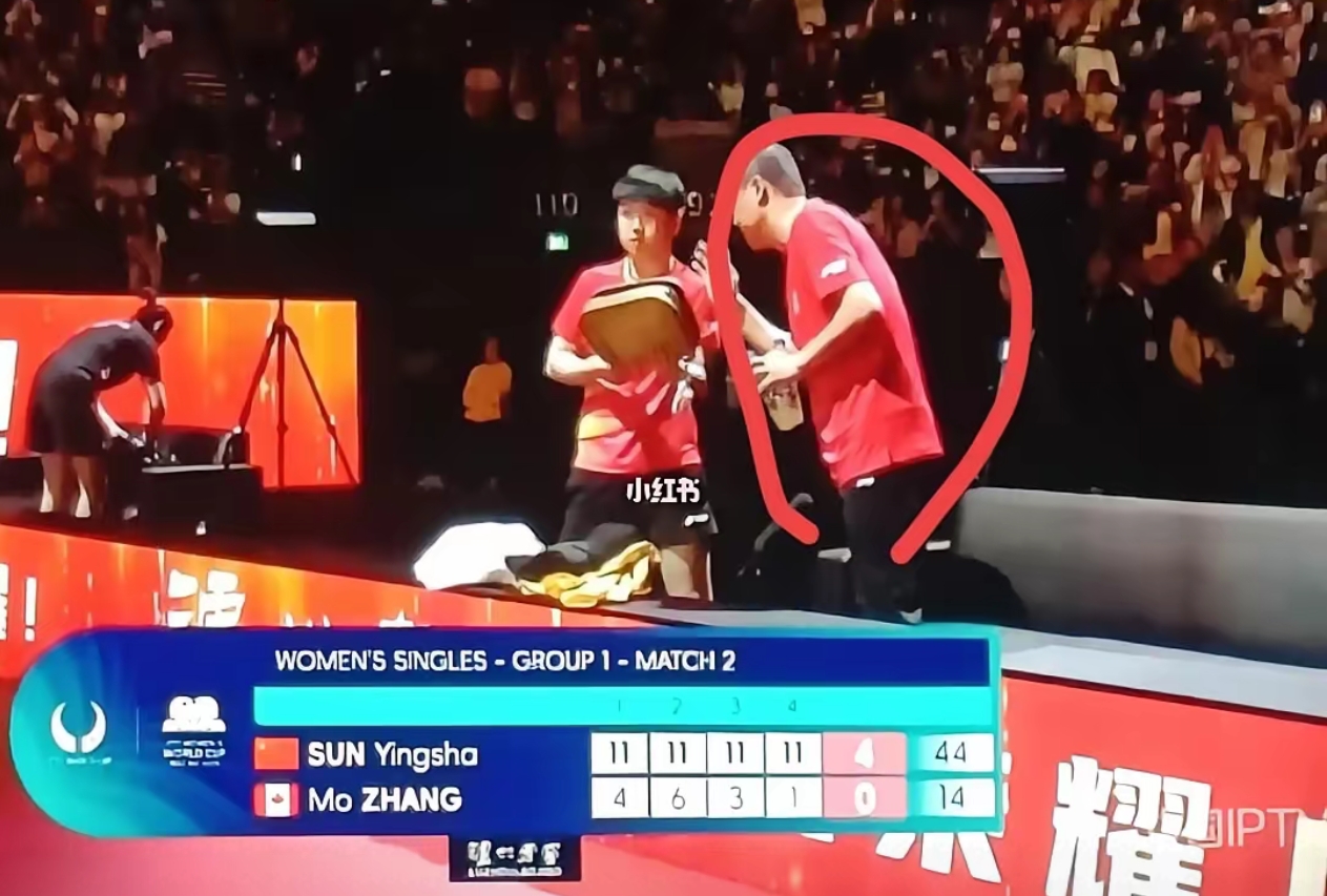 法国羽毛球队险胜英格兰羽毛球队，马琳高光表现的简单介绍