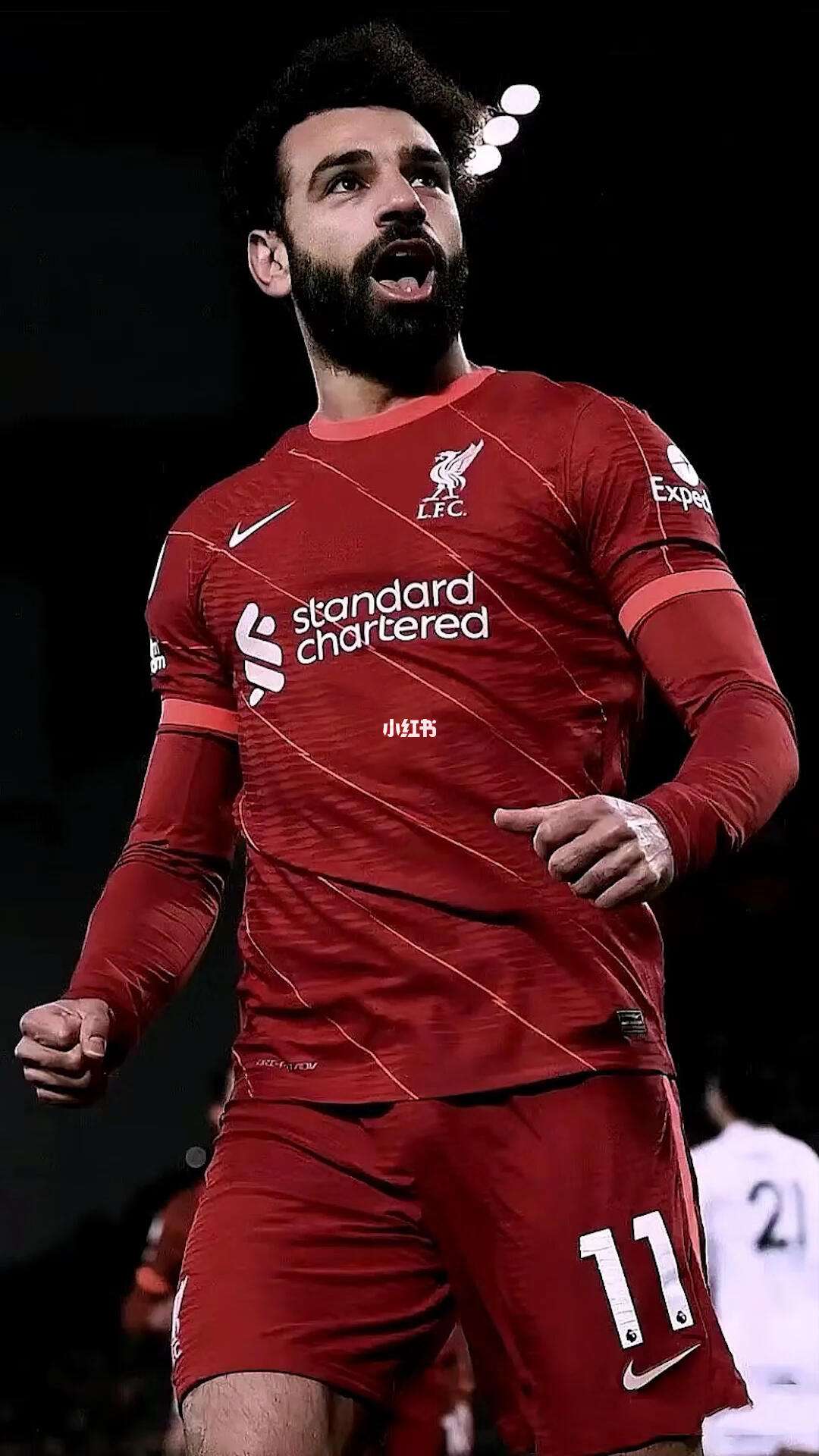 瑞士翻盘瑞典,萨拉赫高光表现的简单介绍 瑞士翻盘瑞典,萨拉赫高光表现的简单介绍