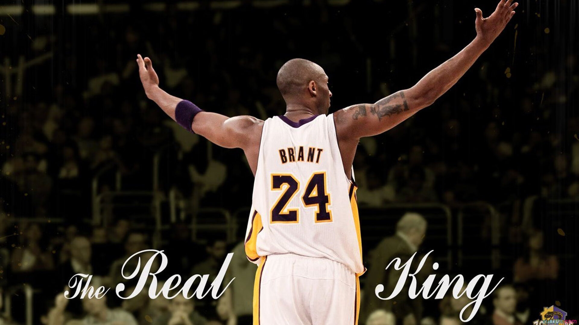 从草地到硬地的统治力宣言，兹维列夫关键制胜，拉沃尔杯横扫温网荣耀