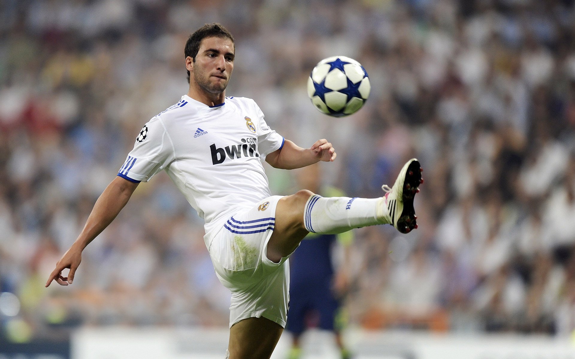 猛龙轻取骑士，福克斯高光表现引领胜利