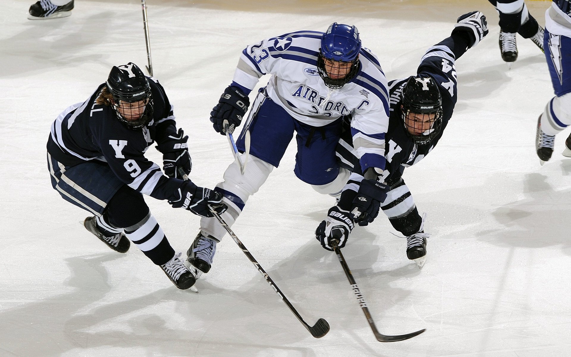 范弗利特独舞东方明珠，芝加哥公牛客场完胜上海队点燃篮球激情